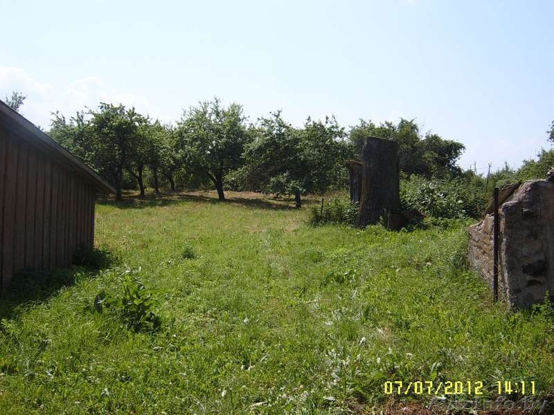 Дом с участком на Нарочи (25 соток),деревня Брыли. Сад,гараж,колодец. - Изображение #3, Объявление #750769