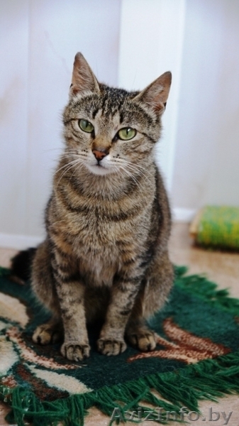 Дюймовочка Люся! - Изображение #2, Объявление #765772