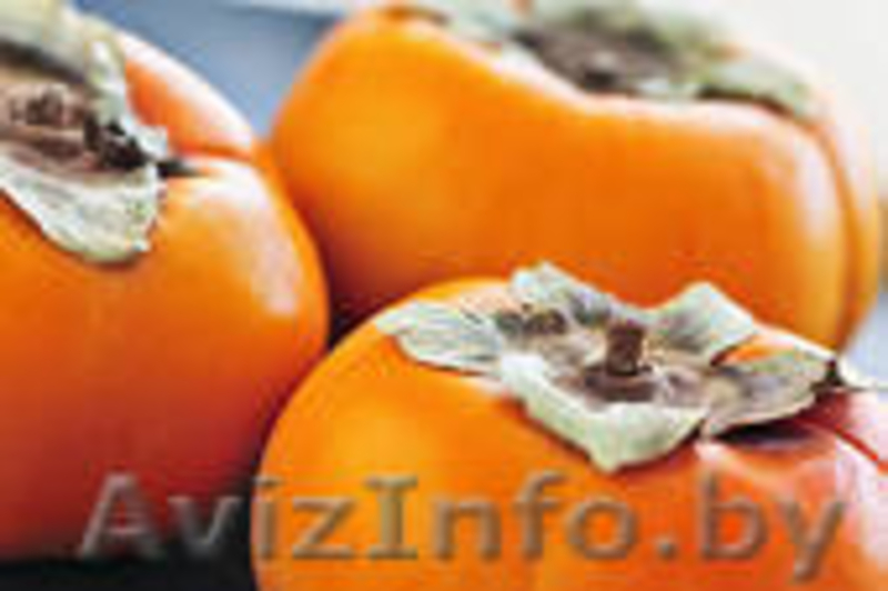 Хурма свежая, крупная оптом из Грузии - Изображение #2, Объявление #781303