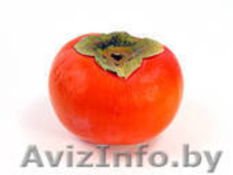 Хурма свежая, крупная оптом из Грузии - Изображение #1, Объявление #781303