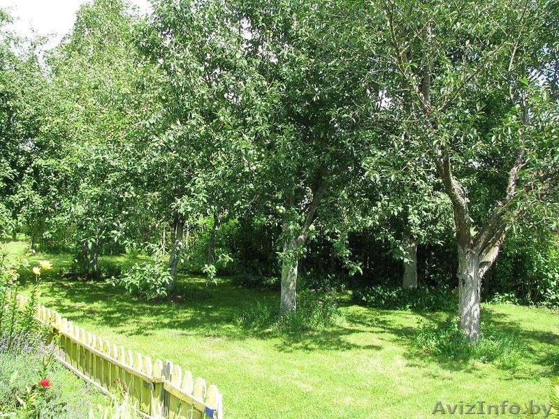 Продаю дачу 10 соток Брестское направление, срочно - Изображение #2, Объявление #770478