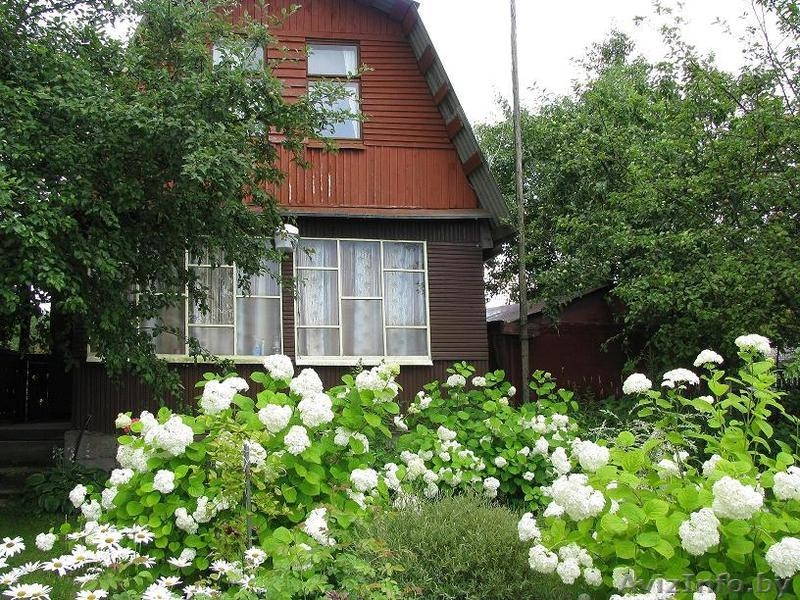 Продаю дачу 10 соток Брестское направление, срочно - Изображение #1, Объявление #770478