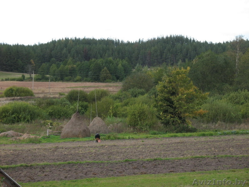 очень красивый,ухоженный участок - Изображение #6, Объявление #776808