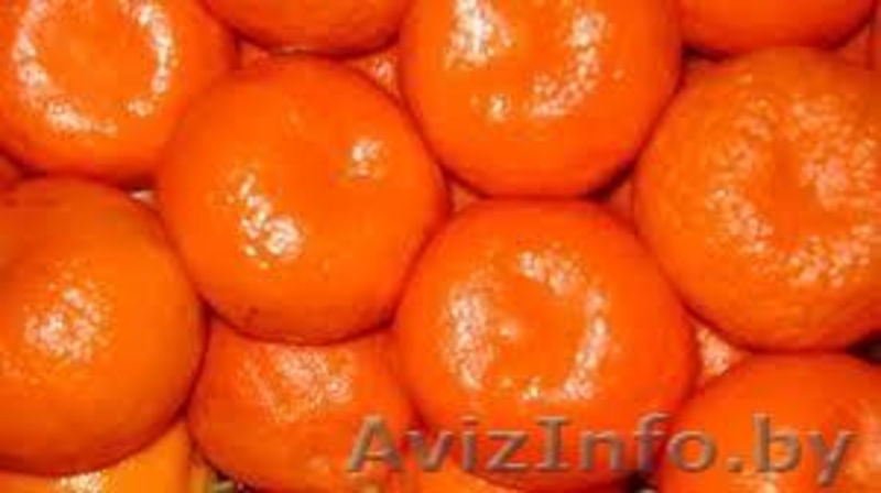  свежий АПЕЛЬСИН сорт Навел - Изображение #3, Объявление #775197