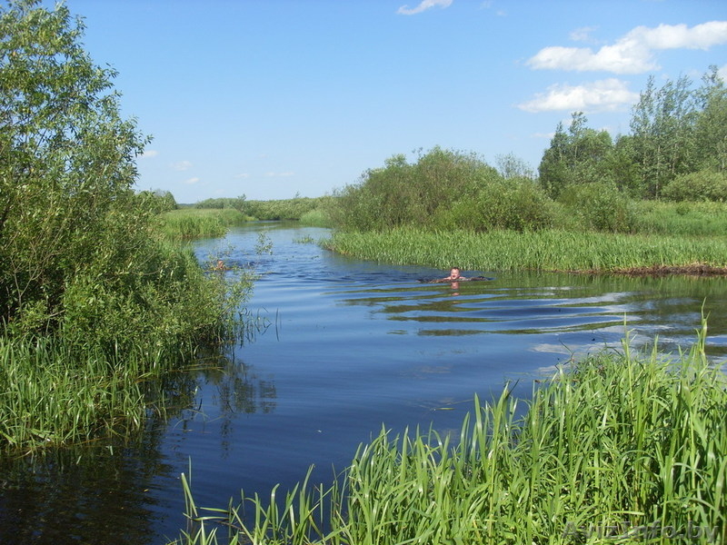очень красивый,ухоженный участок - Изображение #5, Объявление #776808