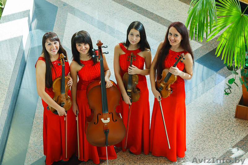 Струнный квартет Muse на свадьбу!!! - Изображение #1, Объявление #786527