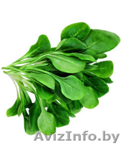 Маргарин, дрожжи сухие пресованные (воронежские), шпинат и дрожжи зам. - Изображение #4, Объявление #783395