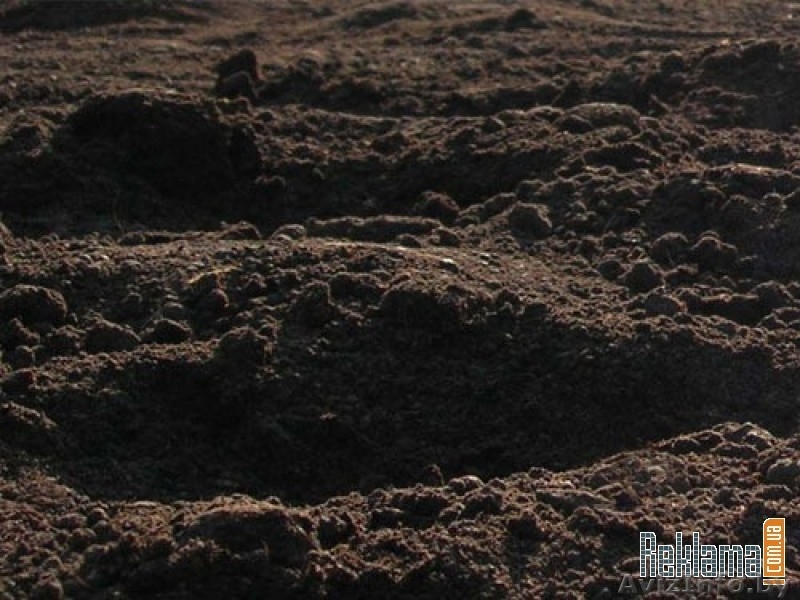 Бетон, щебень, грунт, цемент от производителя. - Изображение #3, Объявление #805982