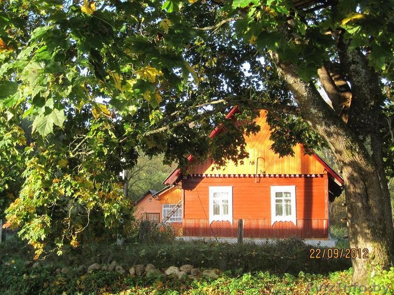 Продам Настоящий Хутор в лесу у воды берег лесной реки рядом озёрами  на Белорус - Изображение #5, Объявление #803424