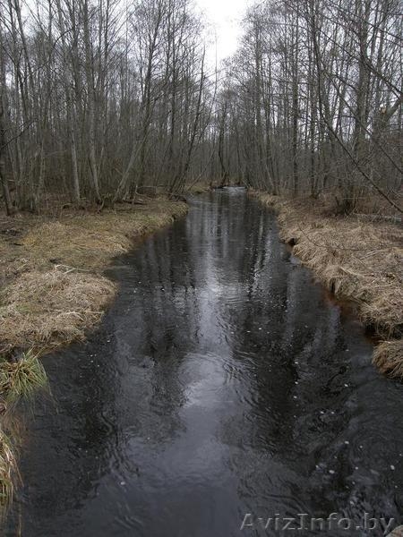 Продам Настоящий Хутор в лесу у воды берег лесной реки рядом озёрами  на Белорус - Изображение #6, Объявление #803424