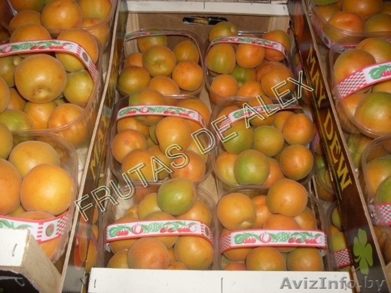 Фрукты и овощи Испанского происхождения - Изображение #10, Объявление #817078