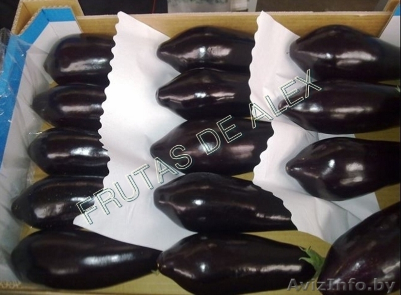 Томаты,огурцы,перец,баклажаны из Испании - Изображение #4, Объявление #817080