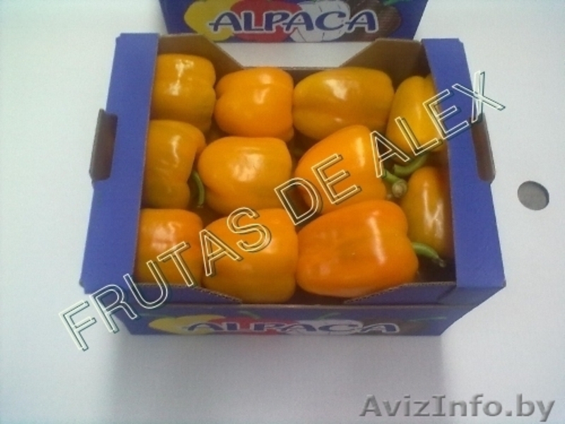 Томаты,огурцы,перец,баклажаны из Испании - Изображение #7, Объявление #817080