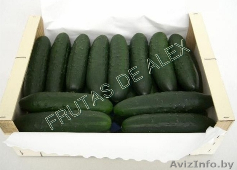 Фрукты и овощи Испанского происхождения - Изображение #8, Объявление #817078