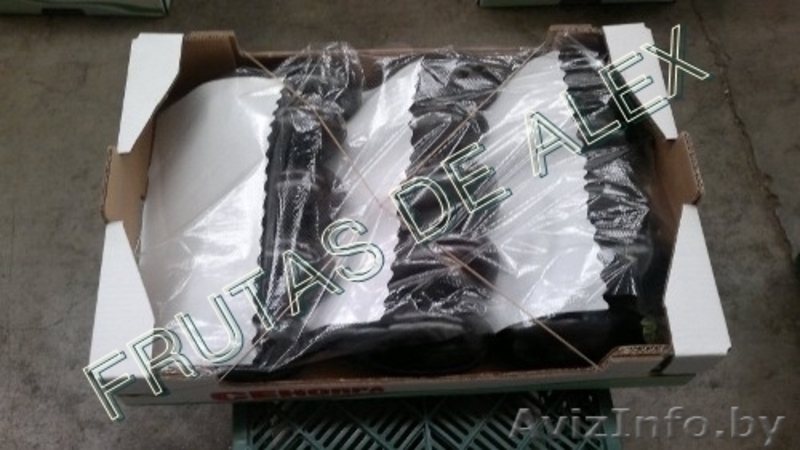 Томаты,огурцы,перец,баклажаны из Испании - Изображение #8, Объявление #817080