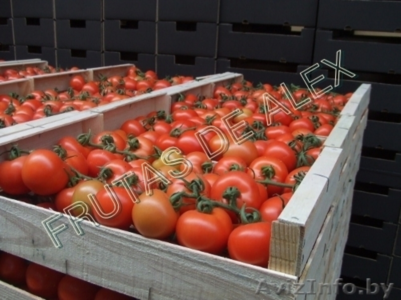 Томаты,огурцы,перец,баклажаны из Испании - Изображение #9, Объявление #817080