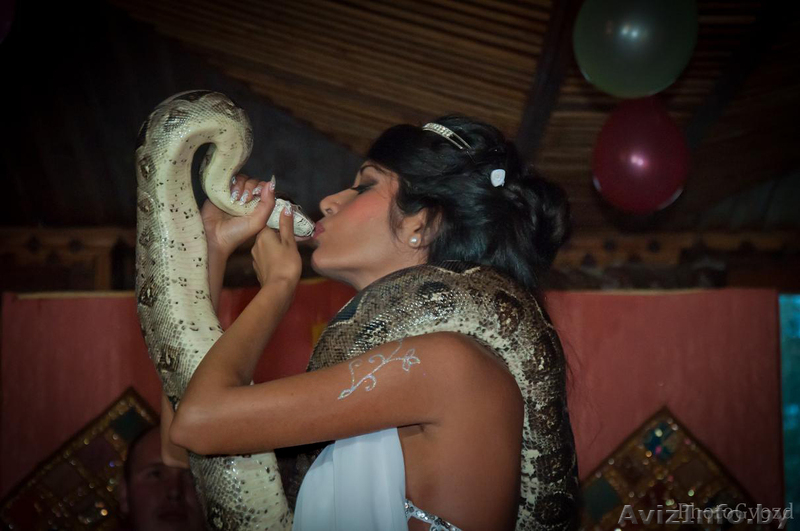 Уникальное театрализованное восточное шоу со змеями! Аналогов нету! - Изображение #1, Объявление #830581