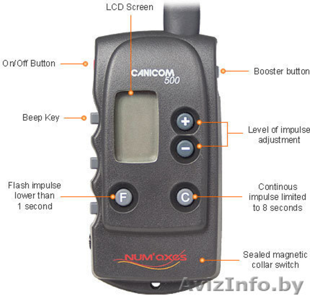 Антилай и электроошейник для дрессировки собак - Изображение #1, Объявление #826961