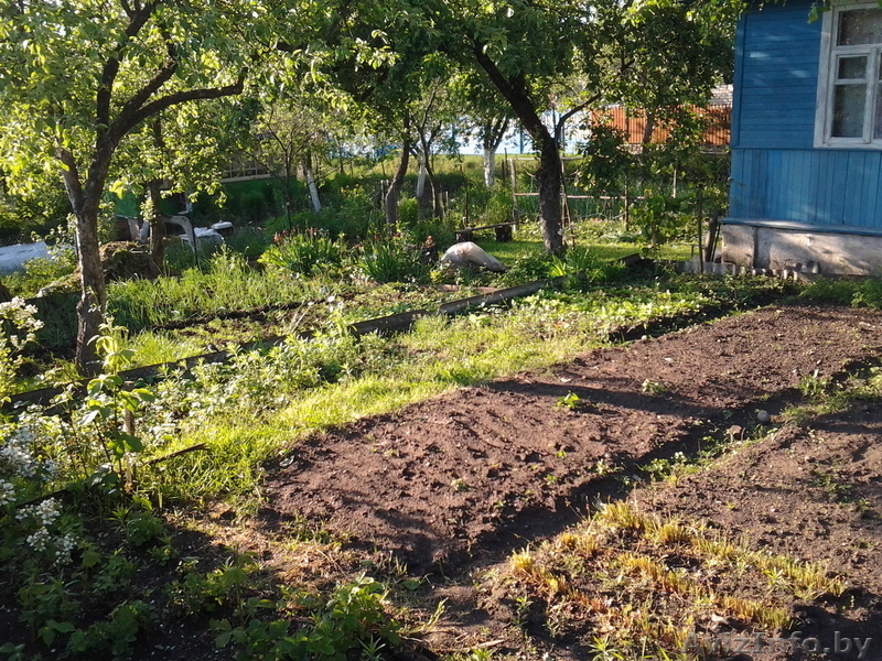 Уютная дача 5 км от МКАД пос. Ратомка - Изображение #3, Объявление #832751