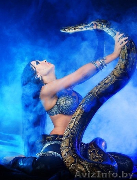 Уникальное театрализованное восточное шоу со змеями! Аналогов нету! - Изображение #6, Объявление #830581