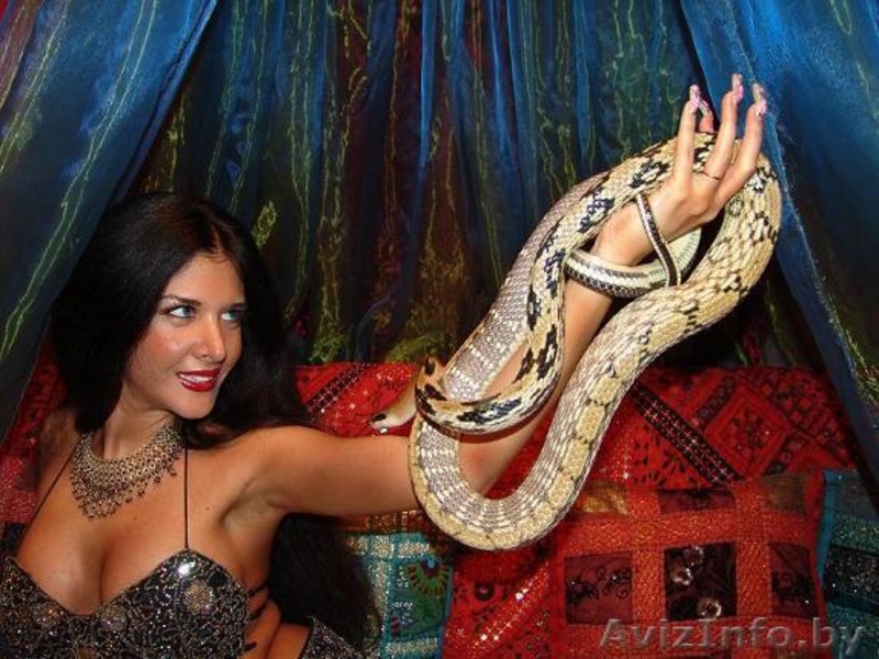 Уникальное театрализованное восточное шоу со змеями! Аналогов нету! - Изображение #7, Объявление #830581