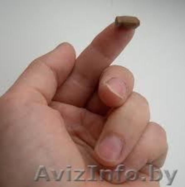 Аренда микронаушники Минск. АКЦИЯ Доставка v 16-16-501 - Изображение #2, Объявление #819946