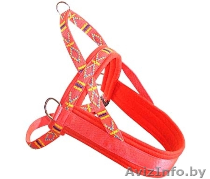 Ездовые шлейки для собак - Изображение #4, Объявление #826917