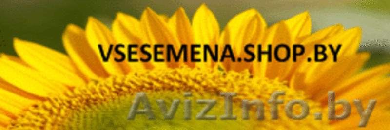Интернет-магазин Все семена в минске - Изображение #5, Объявление #837781