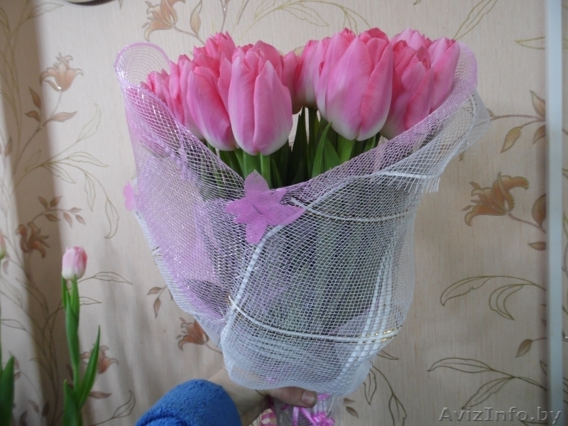 Тюльпаны к 8 марта ))) - Изображение #7, Объявление #161274