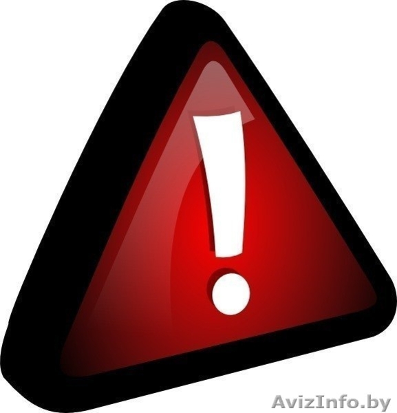 Найден Спаниель!!!! - Изображение #4, Объявление #847871