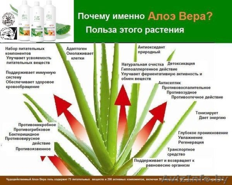  Германская компания LR - Изображение #3, Объявление #852446