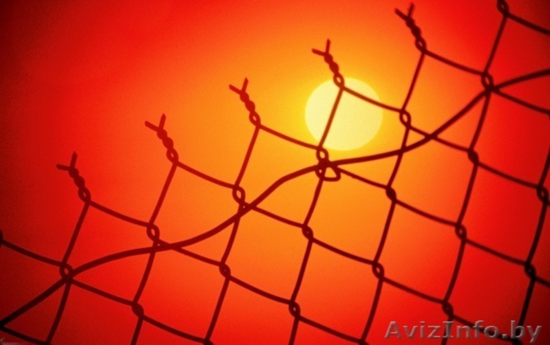 сетка рабица от 138 000! - Изображение #1, Объявление #858829