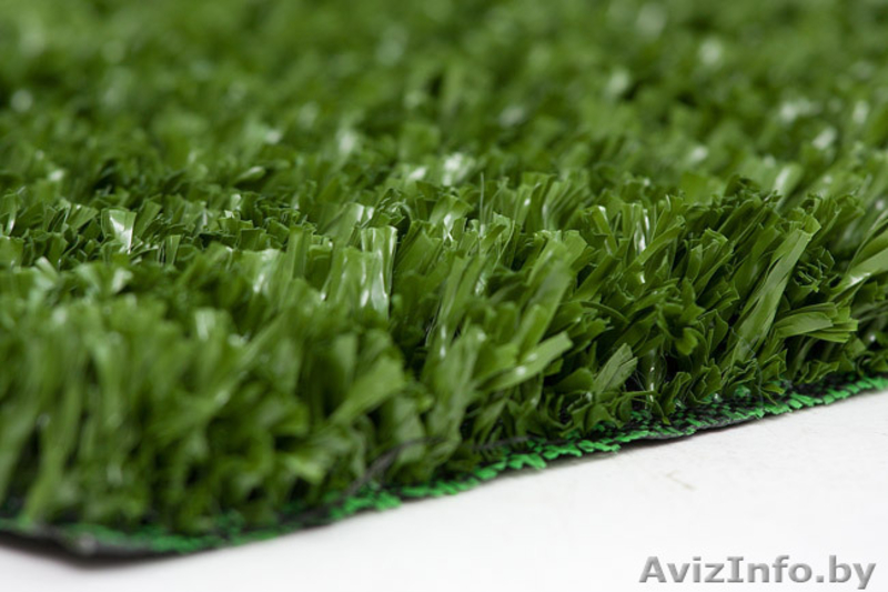 Искусственная трава в Минске - Изображение #1, Объявление #859052