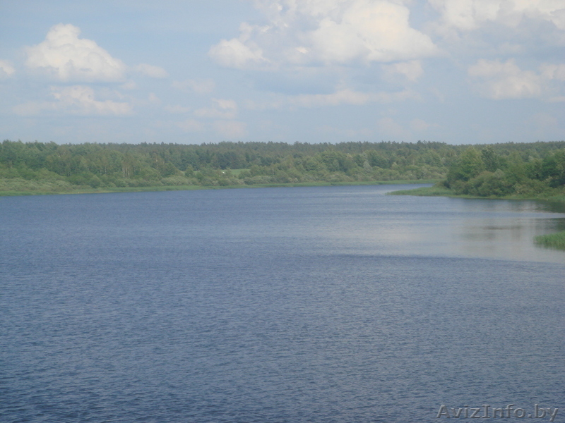 Сдам дачу на лето - 25 км. от Минска - Изображение #1, Объявление #859545