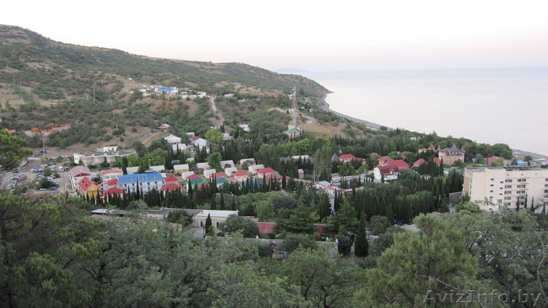 Магнолия-Волга Канака - Изображение #3, Объявление #860070