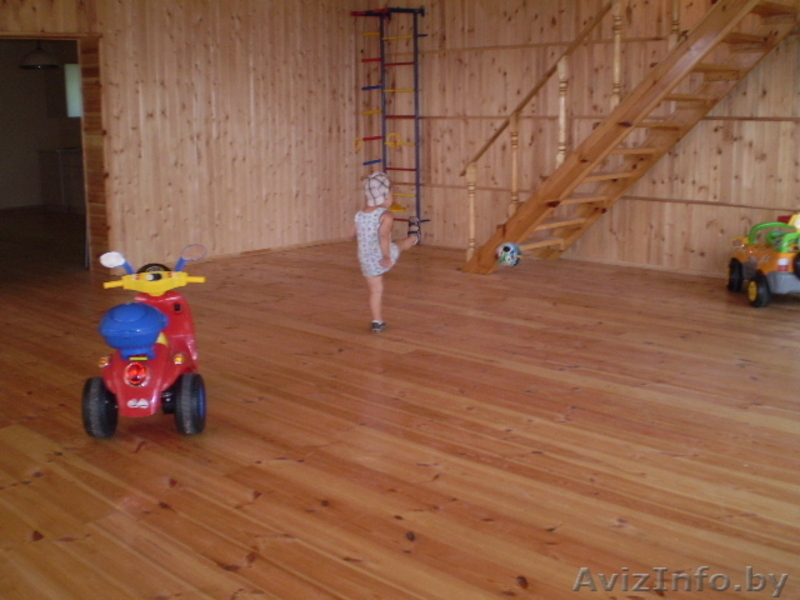 Продаётся усадьба в Витебской области д. Плино. - Изображение #7, Объявление #854419