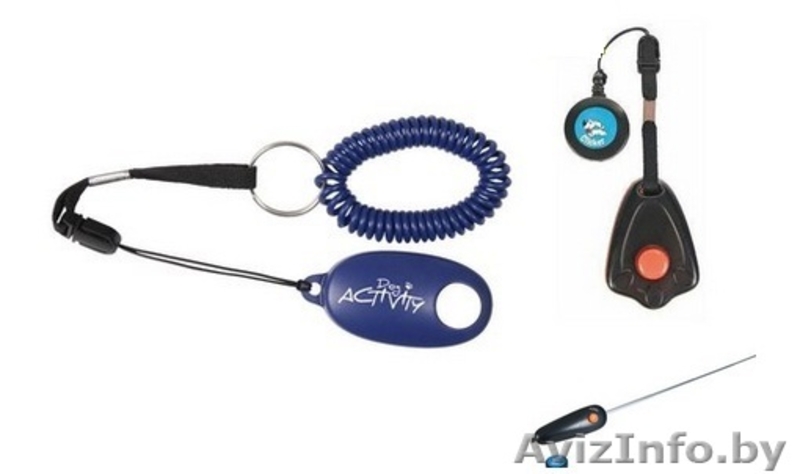 Амуниция, аксессуары, игрушки для собак - Изображение #9, Объявление #865466