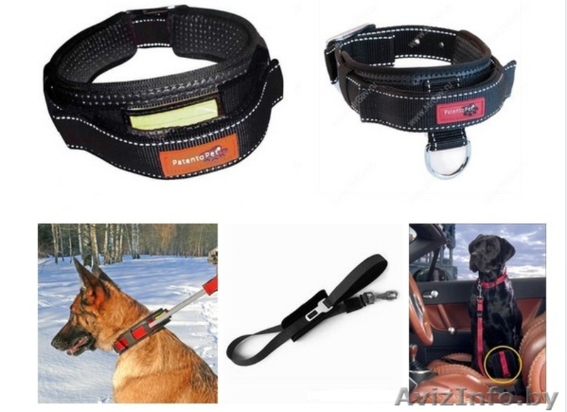 Амуниция, аксессуары, игрушки для собак - Изображение #1, Объявление #865466