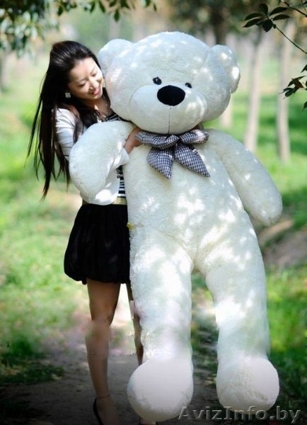 Огромная Плюшевая Возможность - Изображение #1, Объявление #858475