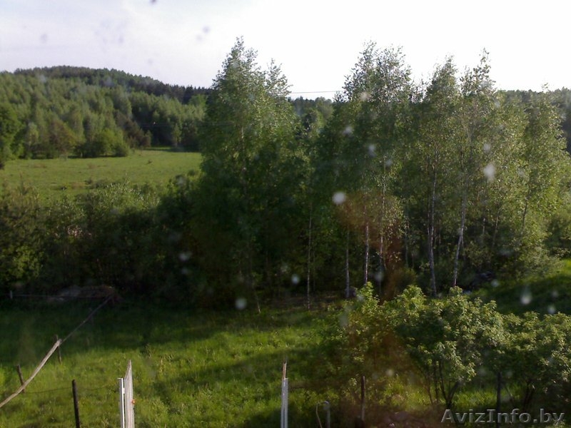 Продам дачу Молодеченское направление, 48 км от МКАД,19 соток - Изображение #8, Объявление #882633