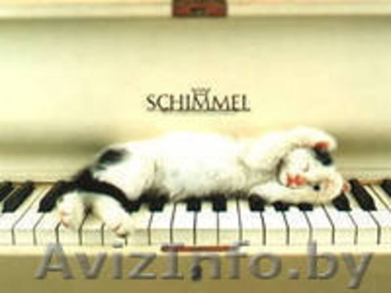 фортепианный настройщик  333253656 - Изображение #3, Объявление #891477