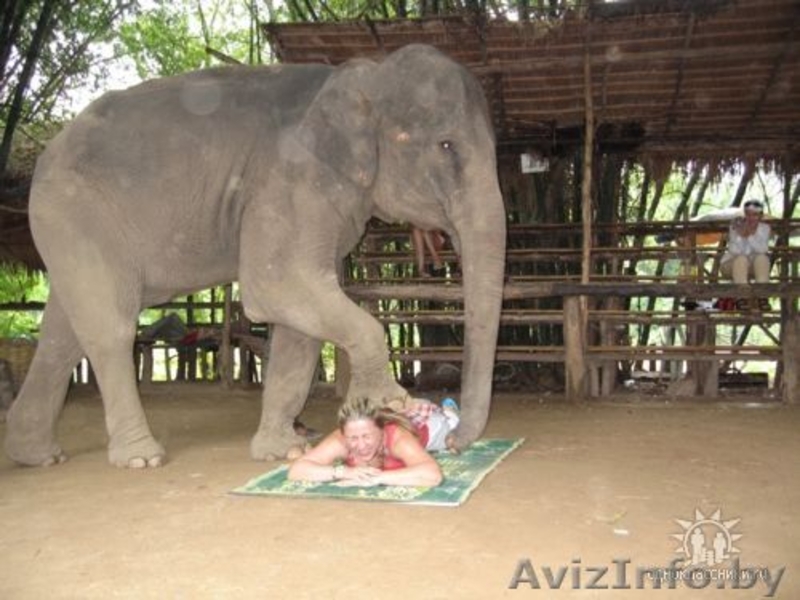 Массаж на дому.Тайский йога массаж,классический массаж - Изображение #3, Объявление #905723