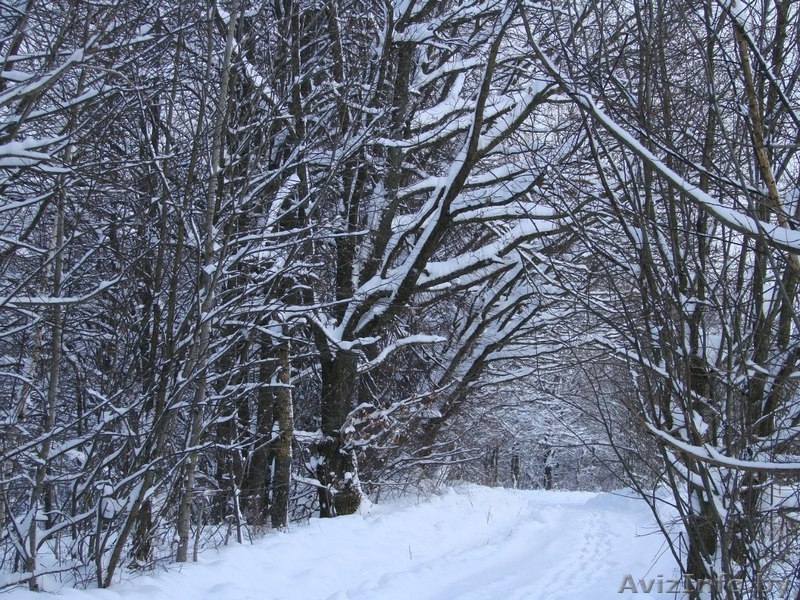Дом в д. Сыроевщина 5 км от Логойска - Изображение #8, Объявление #904769