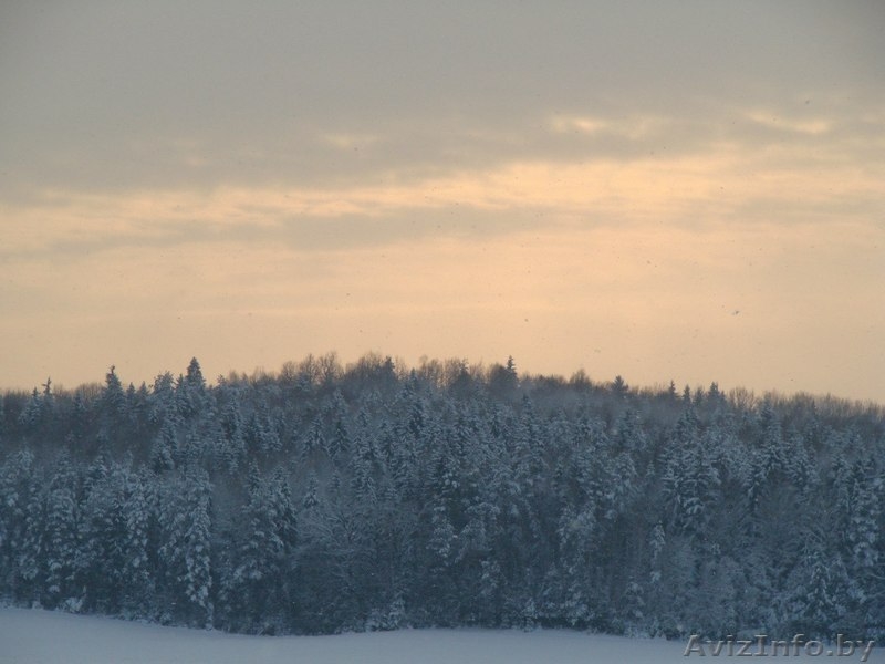 Дом в д. Сыроевщина 5 км от Логойска - Изображение #7, Объявление #904769