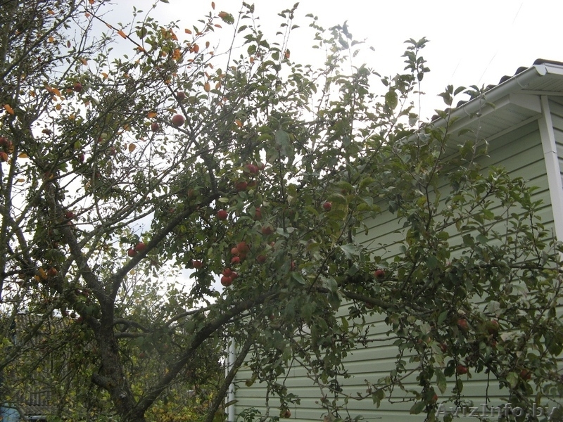 Дом. Мини-коттедж. 28 км от МКАДа 12км от Заславля. Вязанка.На дачн.участке  - Изображение #10, Объявление #918325