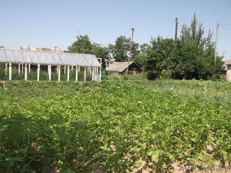 Добротный дом в красивом месте - Изображение #9, Объявление #932135