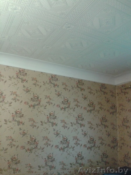 Просторная трешка в тихом центре возле метро  - Изображение #8, Объявление #823142