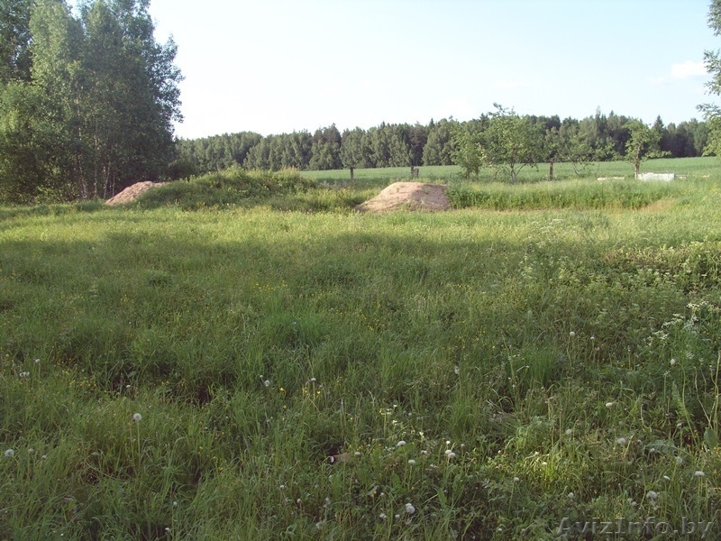 Продается земельный участок в Силичах - Изображение #4, Объявление #909596