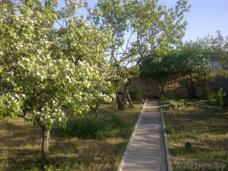 Сдам дачный домик в Евпатории (Песчанка) - Изображение #3, Объявление #927336