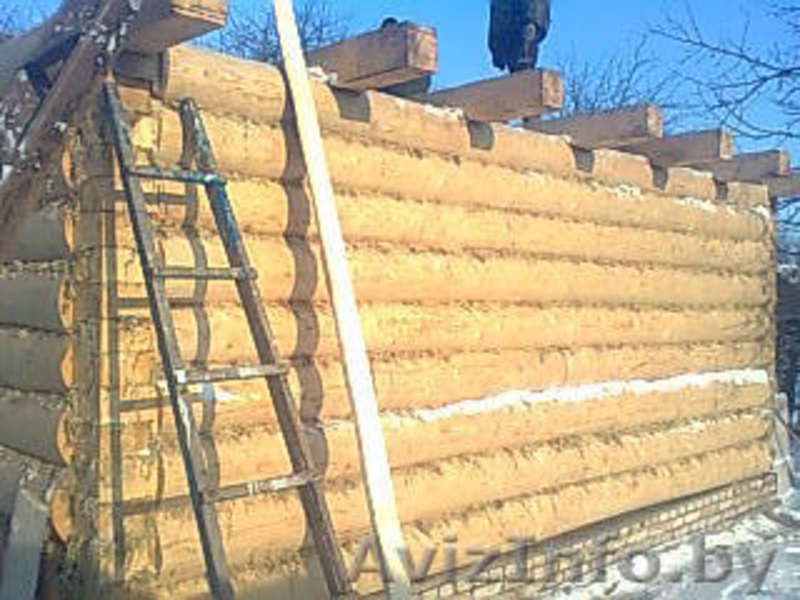 Продается сруб дома новый - Изображение #2, Объявление #901971